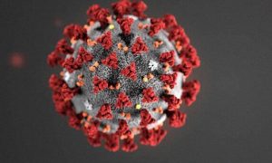 Koronavirus belə yayılır – Video