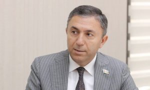 Deputat: “Dəstək proqramları krizisdən sonra da iqtisadi aktivliyi qorumağa təkan verəcək” – RƏY