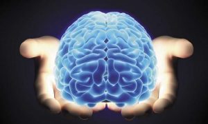 İnsan beyni haqqında bilmədiyiniz 10 möcüzəvi fakt