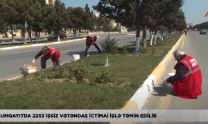 Sumqayıtda 2253 işsiz ictimai işlə təmin edilib – işə qəbul davam etdirilir – VİDEOREPORTAJ