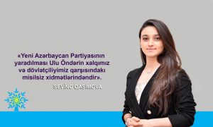 YAP-ın yaradılması Ulu Öndərin xalqımız qarşısında misilsiz xidmətlərindəndir TƏHLİL