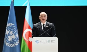 Azərbaycan və kiçik ada dövlətlərinin COP29 perspektivləri: Yeni əməkdaşlıq modeli