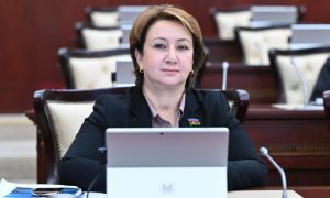 Mehriban Vəliyeva: “AŞPA köhnə qaydalarla dünyaya hökm edə bilməyəcək”