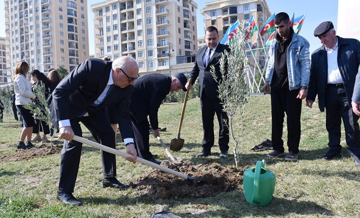 Sumqayıtda “Konstitusiya və Suverenlik İli” çərçivəsində ağacəkmə aksiyası keçirilib