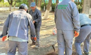 Sumqayıt Bələdiyyə parkında genişmiqyaslı iməcilik aksiyası keçirilib