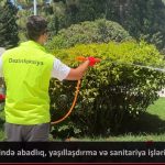 Sumqayıt şəhərində abadlıq və yaşıllaşdırma işləri geniş vüsət alıb