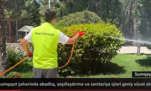 Sumqayıt şəhərində abadlıq və yaşıllaşdırma işləri geniş vüsət alıb