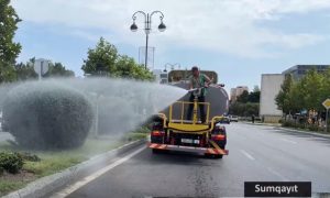 Sumqayıtın yaşıllaşdırılması istiqamətində nümunəvi fəaliyyət – 6 ayda hansı işlər görüıüb?