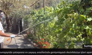 Sumqayıtda geniş dezinfeksiya tədbirləri həyata keçirilib