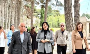 Millət vəkili Elnarə Akimova Hacı Zeynalabdin qəsəbəsində
