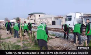 “Şəhər günü” münasibətilə iməcilik və ağacəkmə aksiyası keçirilib