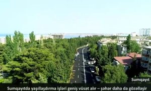 Sumqayıtda yaşıllaşdırma işləri geniş vüsət alır – şəhər daha da gözəlləşir