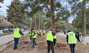 Sumqayıt şəhərində abadlıq-quruculuq və iməcilik tədbirləri davam etdirilir