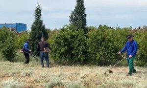 Bakı–Quba avtomobil yolunda genişmiqyaslı iməcilik təşkil olundu